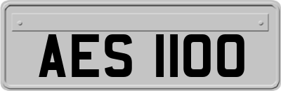 AES1100