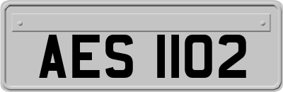 AES1102