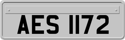 AES1172