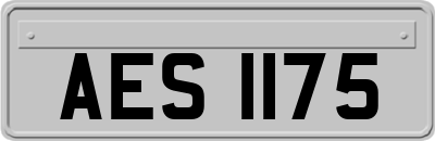 AES1175