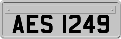 AES1249