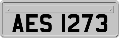 AES1273