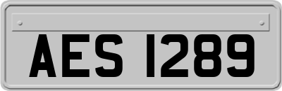 AES1289