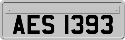 AES1393