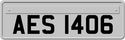 AES1406