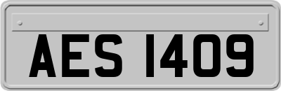 AES1409