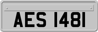 AES1481