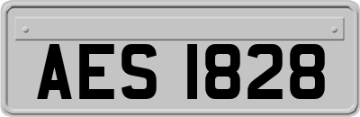 AES1828