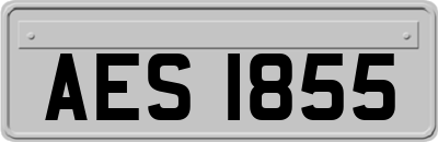 AES1855