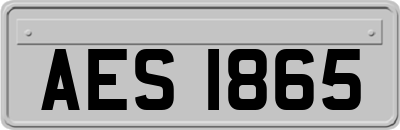 AES1865
