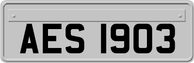 AES1903