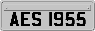AES1955