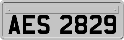 AES2829