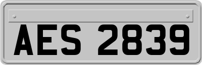 AES2839
