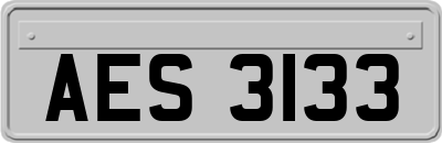 AES3133