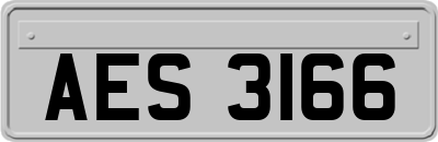 AES3166