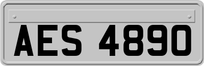 AES4890
