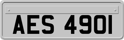 AES4901