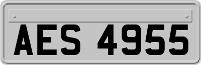 AES4955