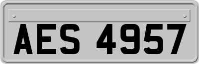 AES4957