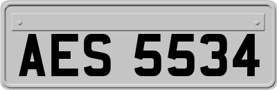 AES5534
