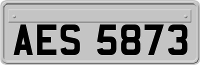 AES5873