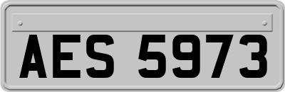 AES5973