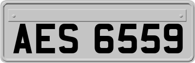 AES6559