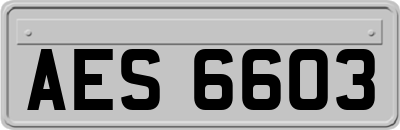 AES6603