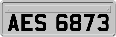 AES6873