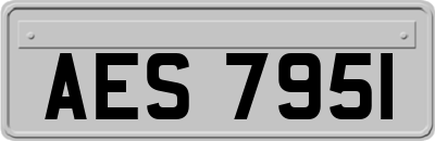 AES7951