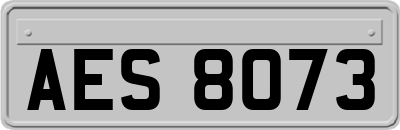 AES8073