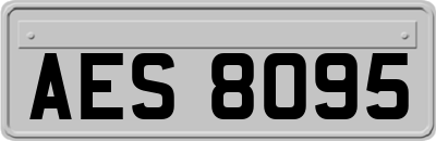 AES8095