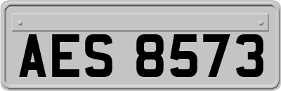 AES8573
