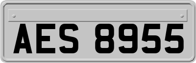 AES8955