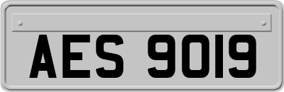 AES9019