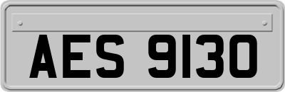 AES9130