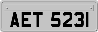 AET5231