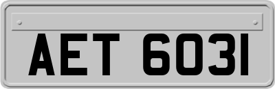 AET6031