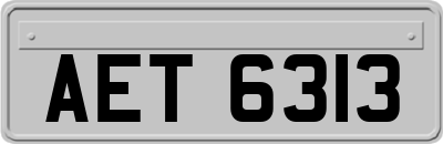 AET6313