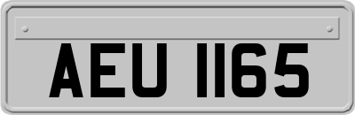 AEU1165