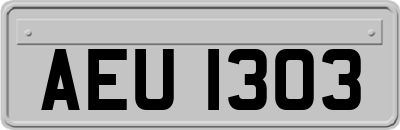 AEU1303