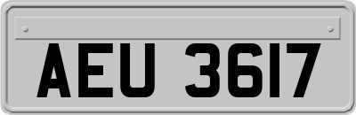 AEU3617
