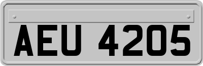 AEU4205