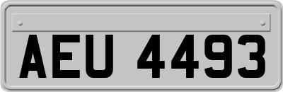 AEU4493