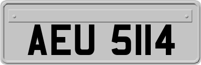 AEU5114
