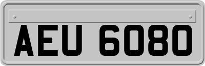 AEU6080