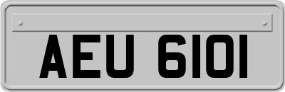 AEU6101