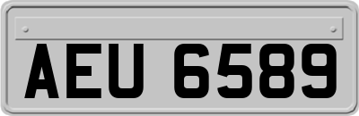 AEU6589