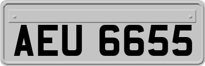 AEU6655